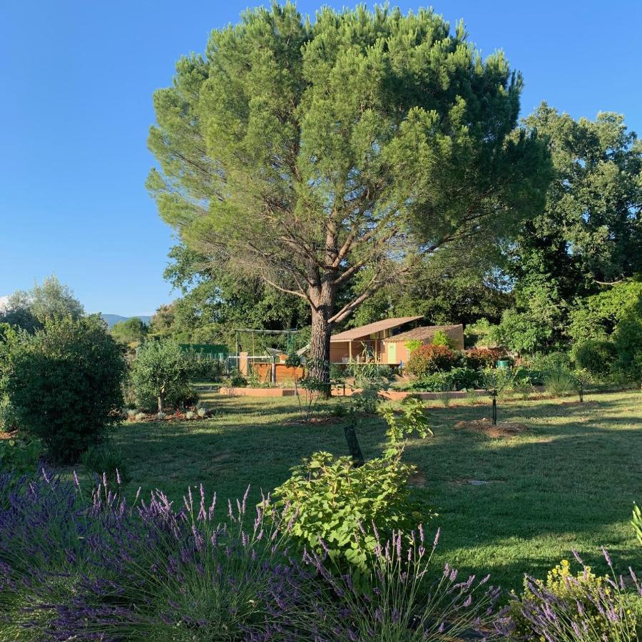 Chambre D'Hotes Le Cedre Apt Εξωτερικό φωτογραφία