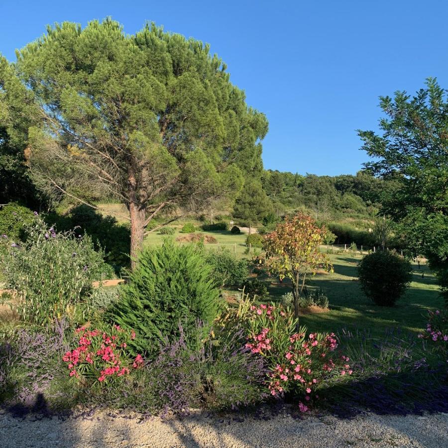 Chambre D'Hotes Le Cedre Apt Εξωτερικό φωτογραφία